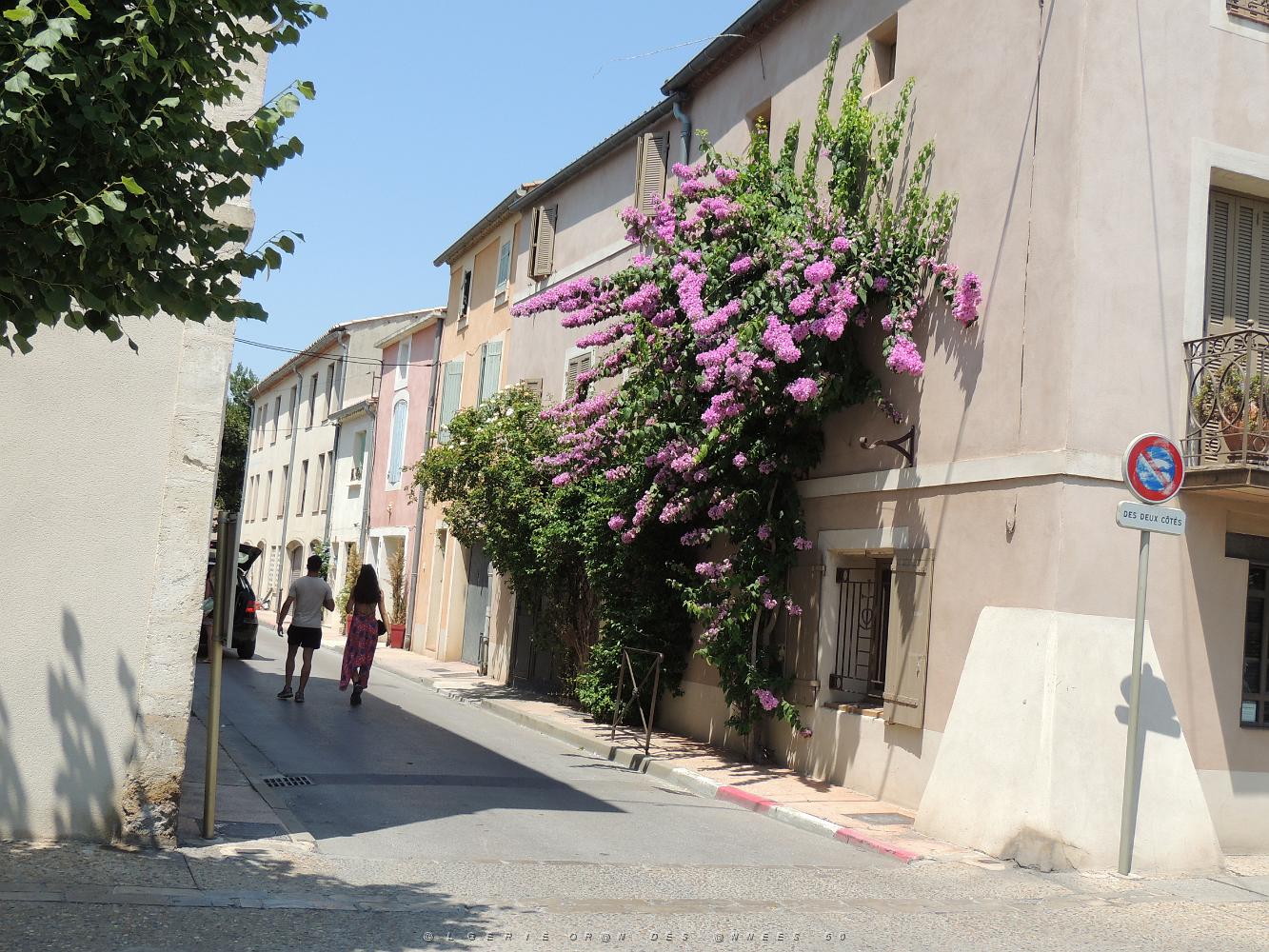 2022 07 UN AIR DE VACANCES 22 AIGUES MORTES (16).JPG -           
